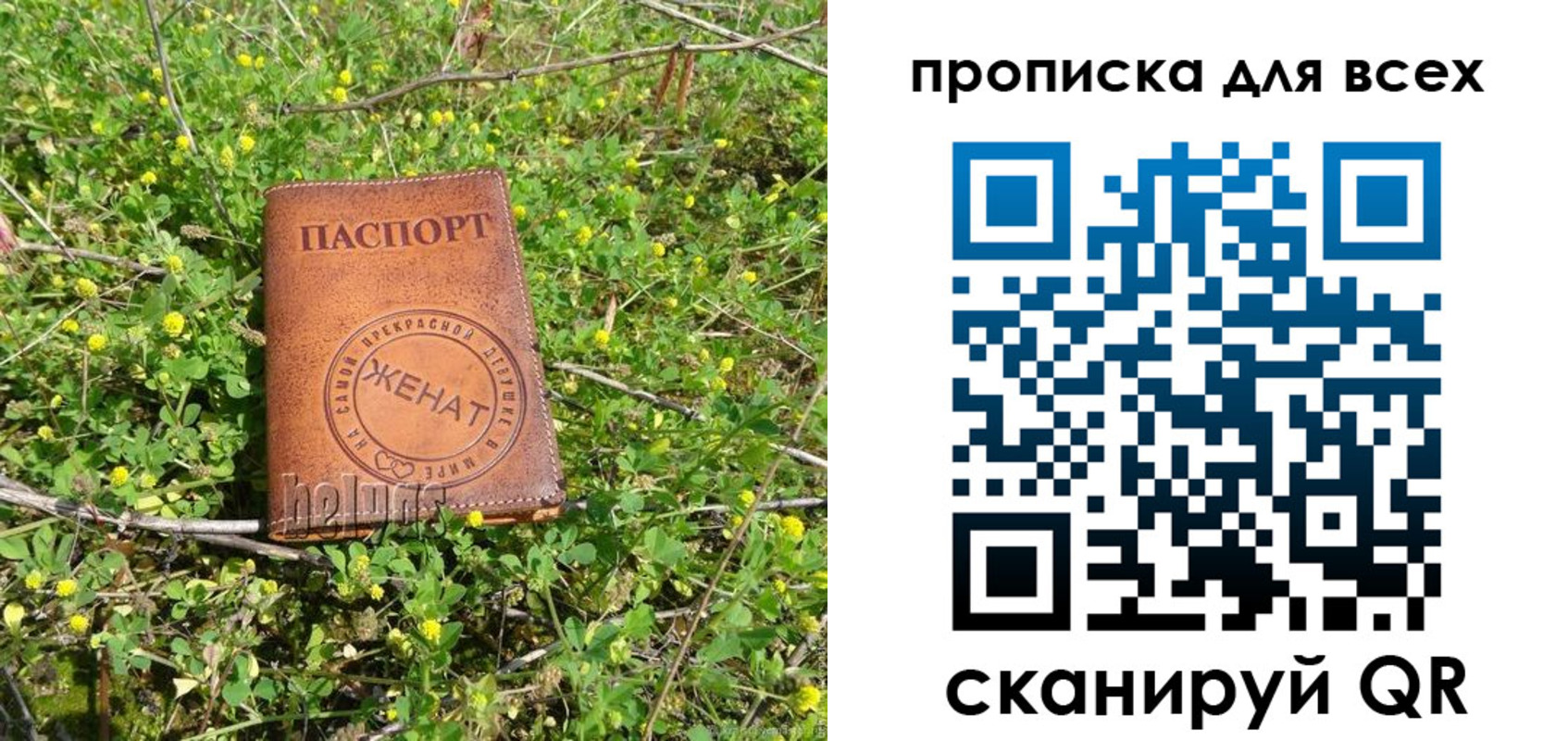 прописка поиск в Боровске